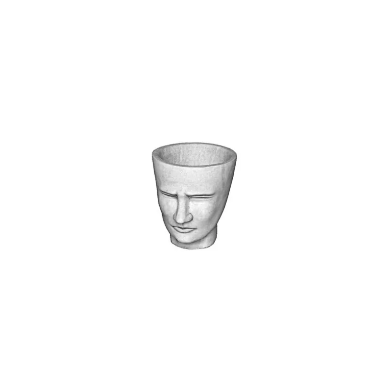 Vase Visage - 1